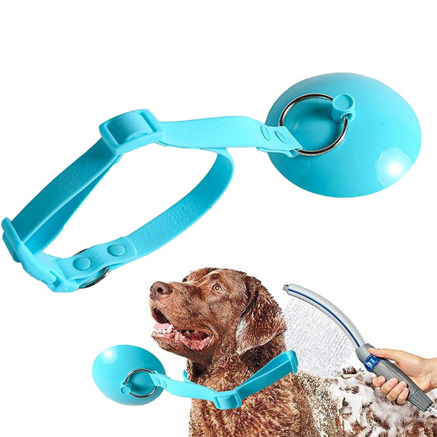 Dog Bathing Tether – Heavy-Duty Suction Cup Grooming Leash